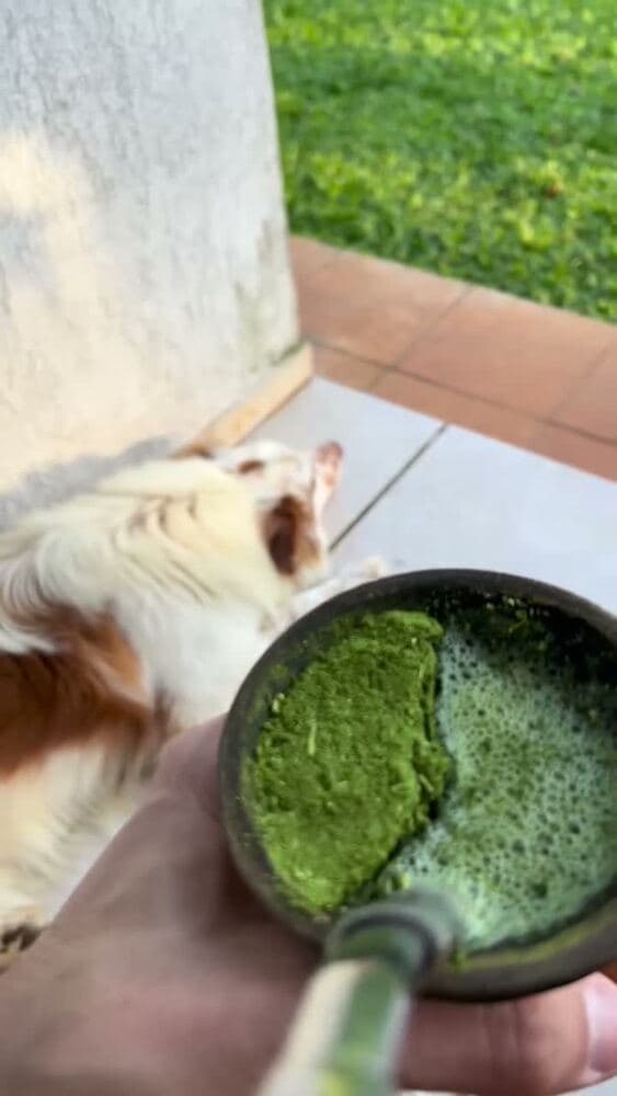 Vídeo de Viny Leite em apresentação e bastidores